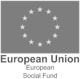 European Union Social Fund