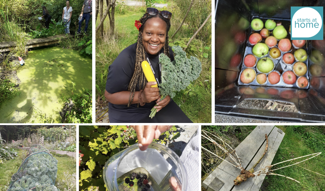 Images of Salford Allotments