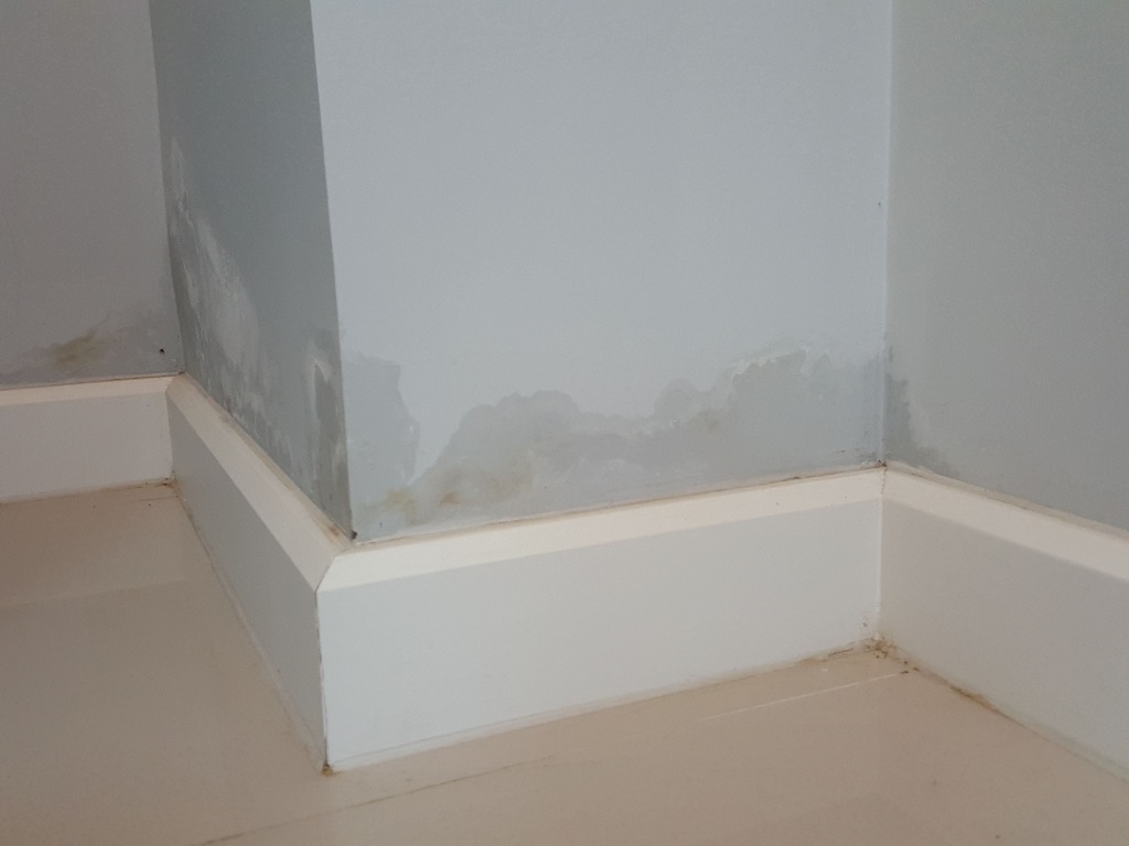 Rising damp in walls above skirting board